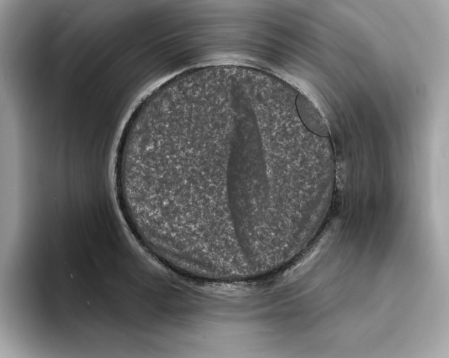 X0000094330995200711301225