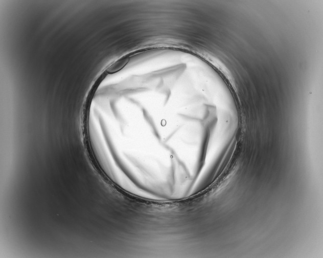 X0000094330997200711301225