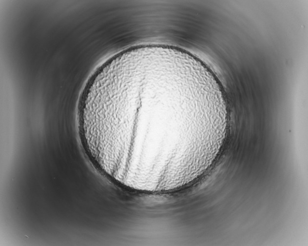 X0000094330998200711301225