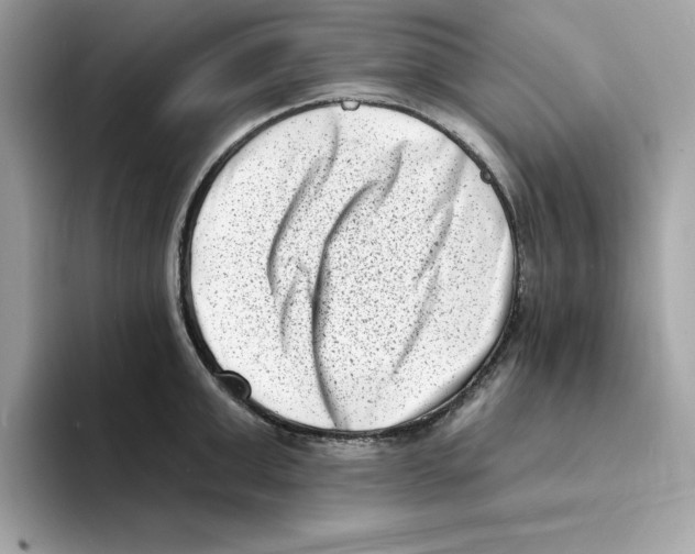 X0000094330999200711301225