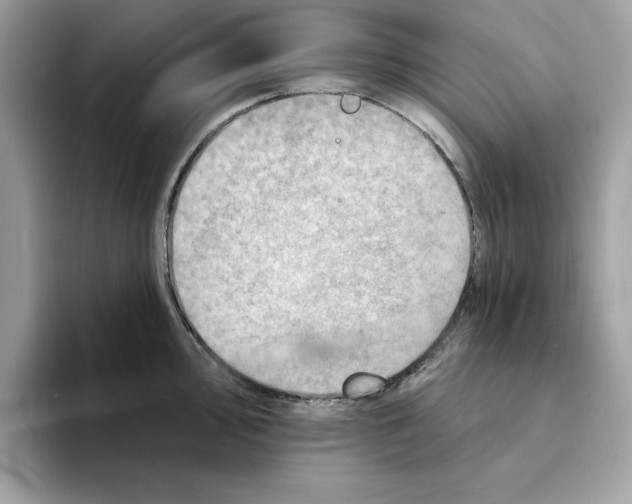 X0000094331000200711301225