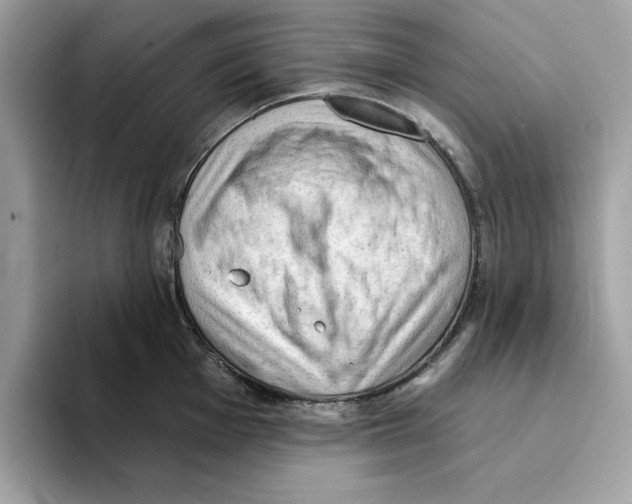 X0000094331001200711301225