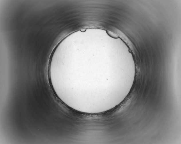 X0000094331002200711301225