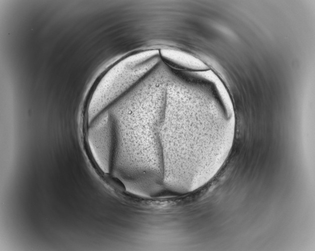 X0000094331003200711301225