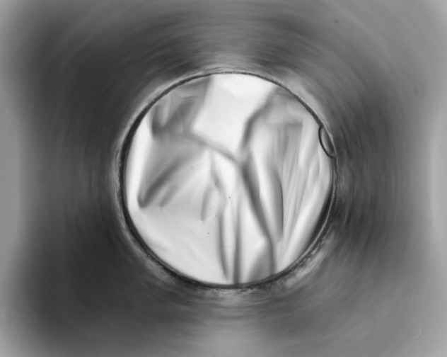 X0000094331005200711301225