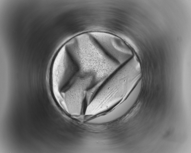 X0000094331007200711301225