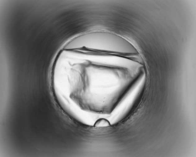 X0000094331008200711301224