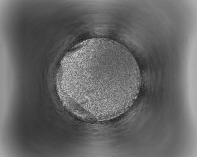 X0000094331009200711301224