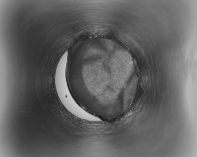 X0000094331010200711301224