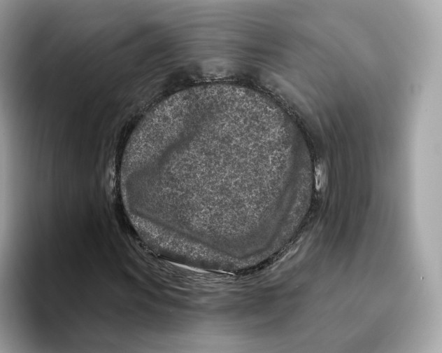 X0000094331011200711301224