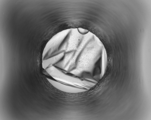 X0000094331012200711301224