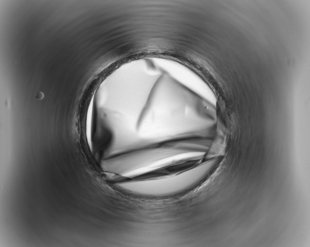 X0000094331018200711301224