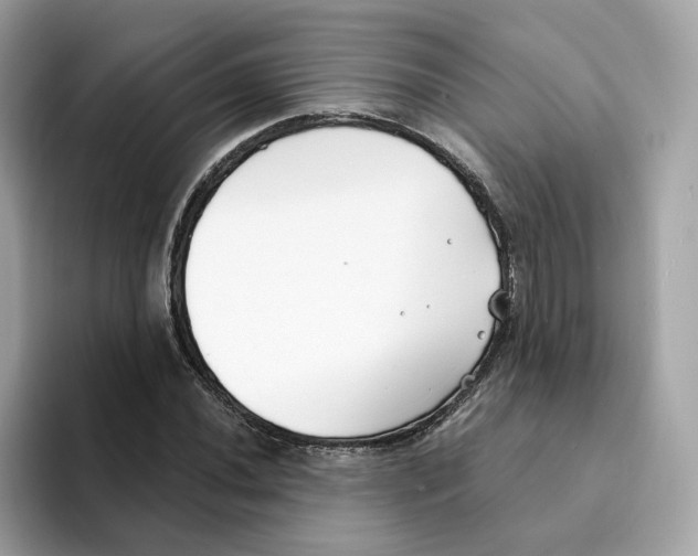 X0000094331020200711301224