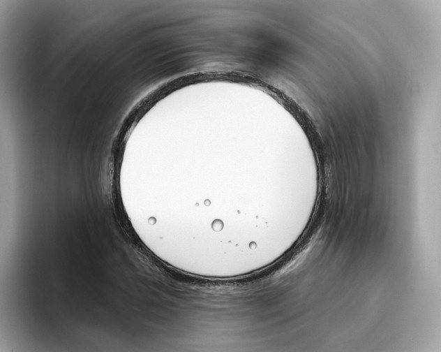 X0000094331021200711301224