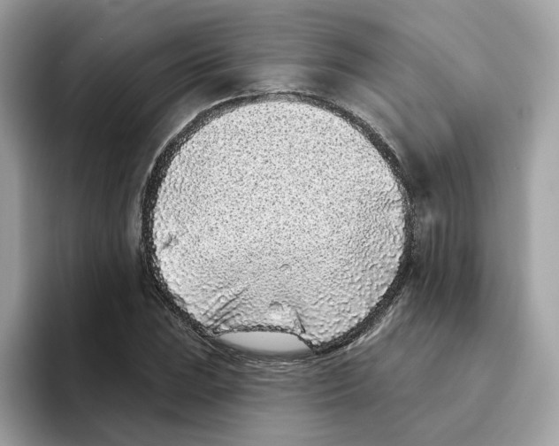 X0000094331023200711301224