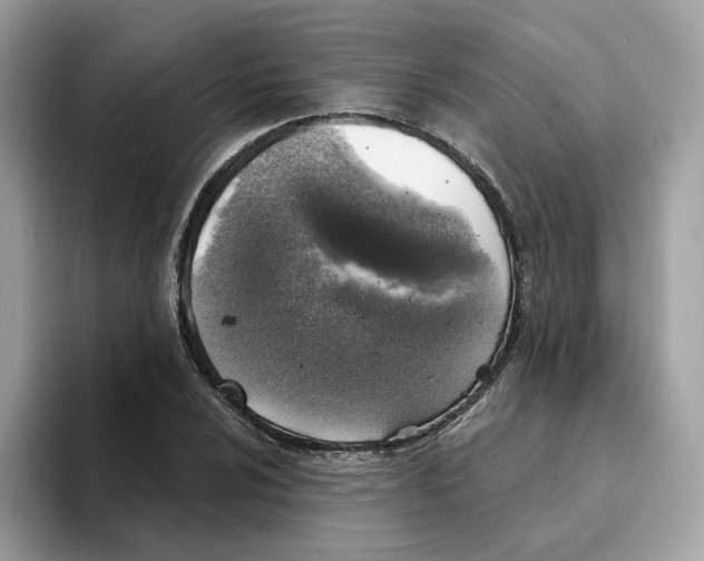 X0000094331024200711301224