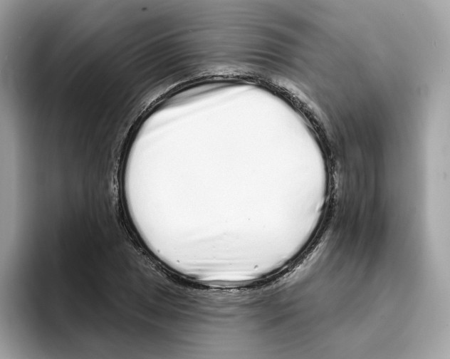 X0000094331025200711301224