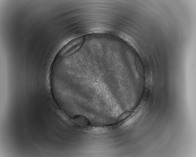 X0000094331026200711301224