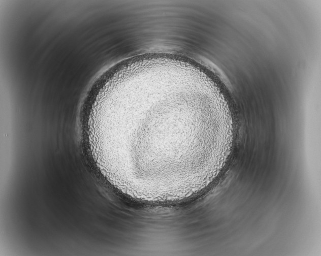 X0000094331027200711301224