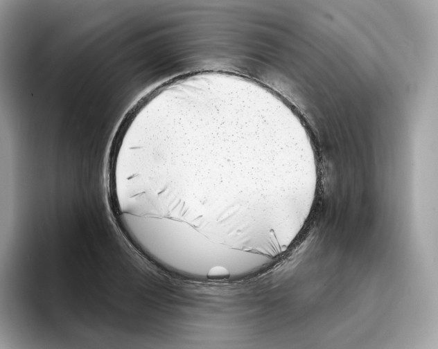 X0000094331028200711301224