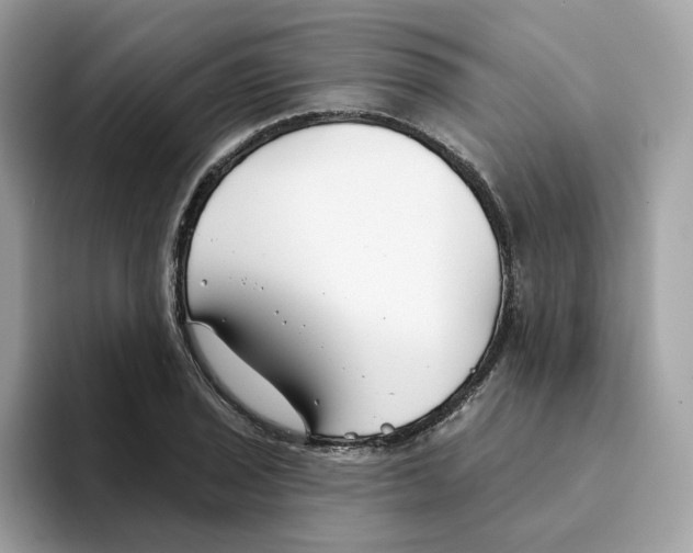 X0000094331029200711301224