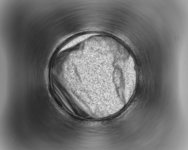 X0000094331030200711301224