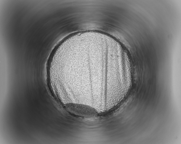 X0000094331031200711301224