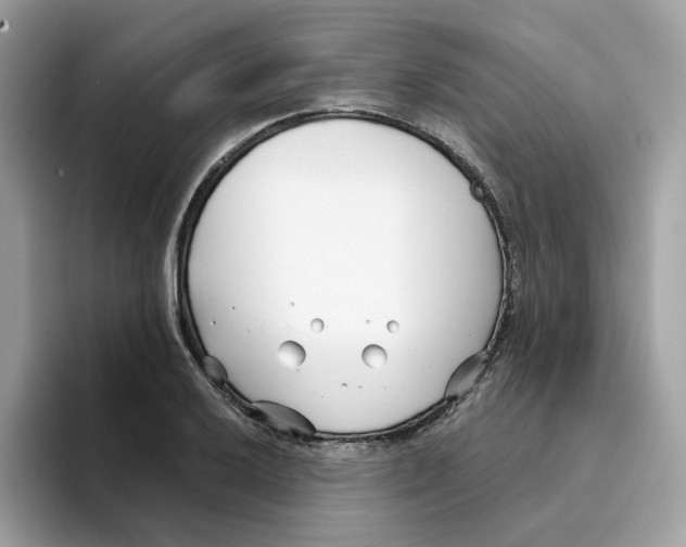 X0000094331032200711301224