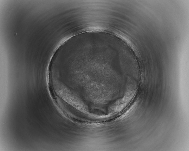 X0000094331034200711301224