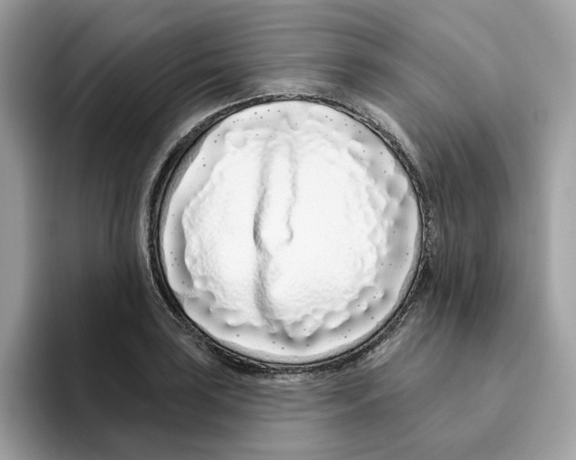 X0000094331035200711301224