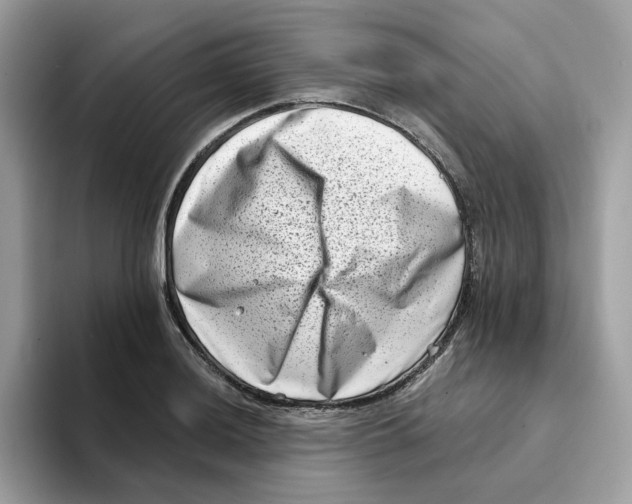 X0000094331036200711301224