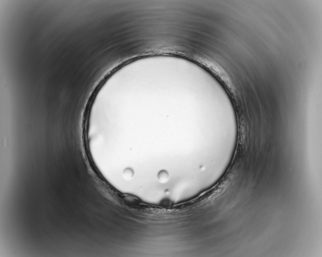 X0000094331039200711301224