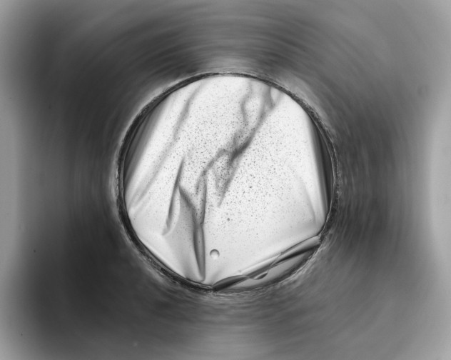 X0000094331040200711301224