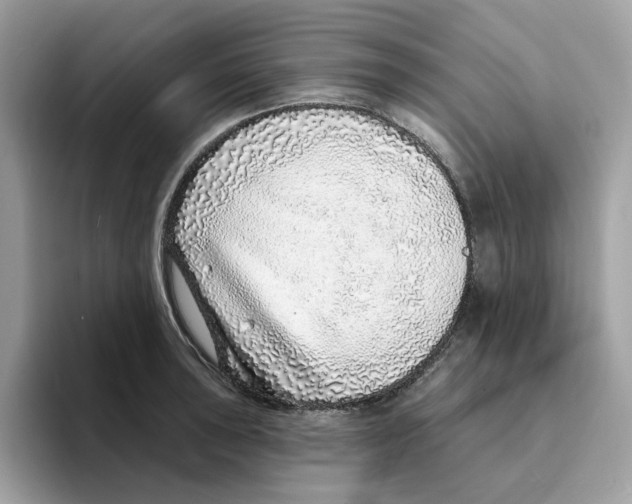 X0000094331043200711301224