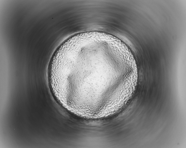 X0000094331047200711301224