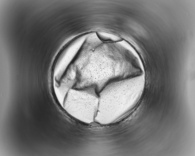 X0000094331048200711301224