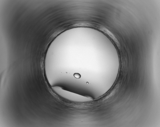 X0000094331049200711301224