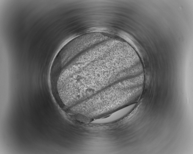 X0000094331050200711301224