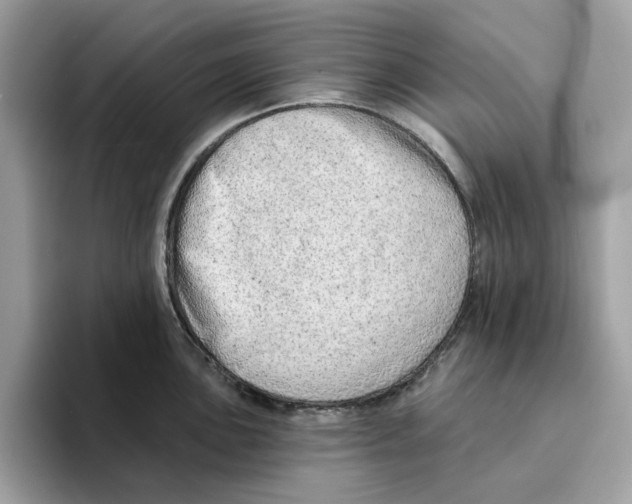 X0000094331051200711301224