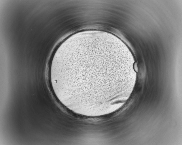 X0000094331053200711301224