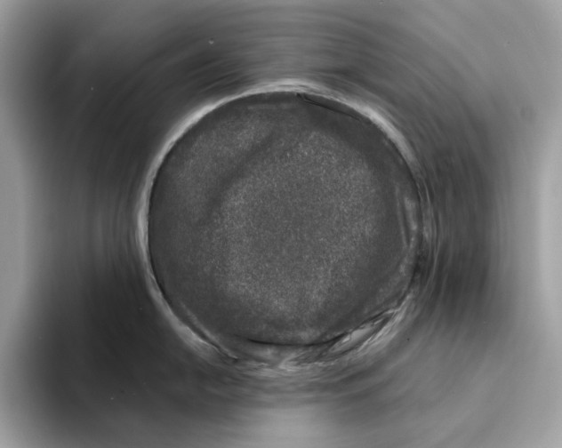 X0000094331054200711301224