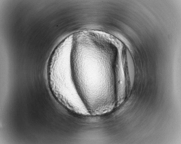 X0000094331055200711301224