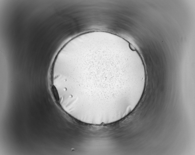 X0000094331056200711301224