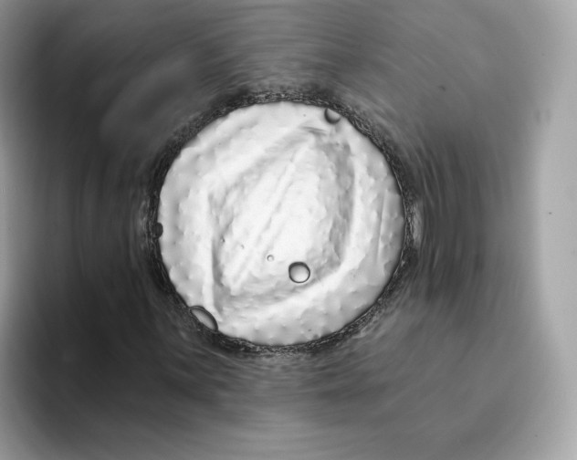 X0000094331059200711301224