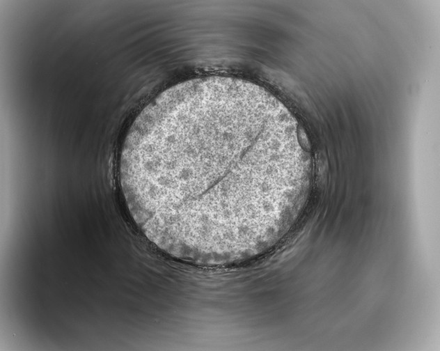 X0000094331060200711301224