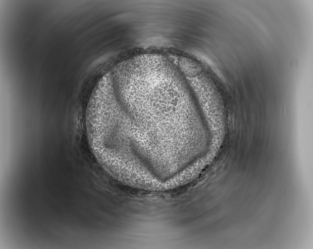 X0000094331063200711301224