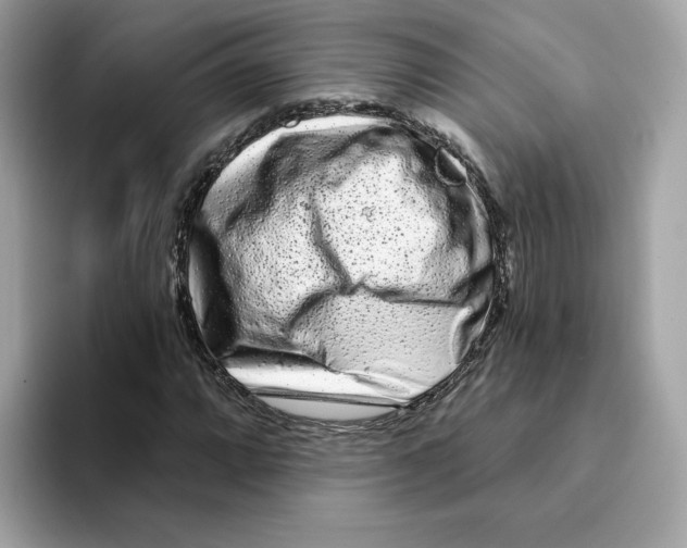 X0000094331064200711301224