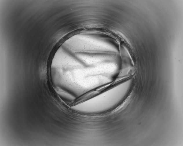 X0000094331065200711301224