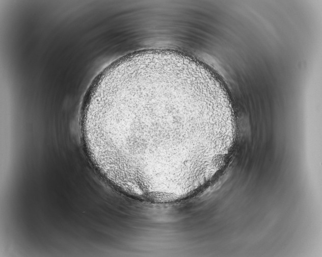 X0000094331071200711301224