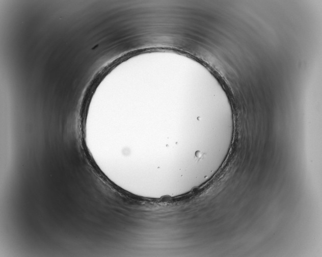 X0000094331072200711301224